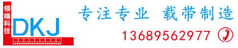 领端科技